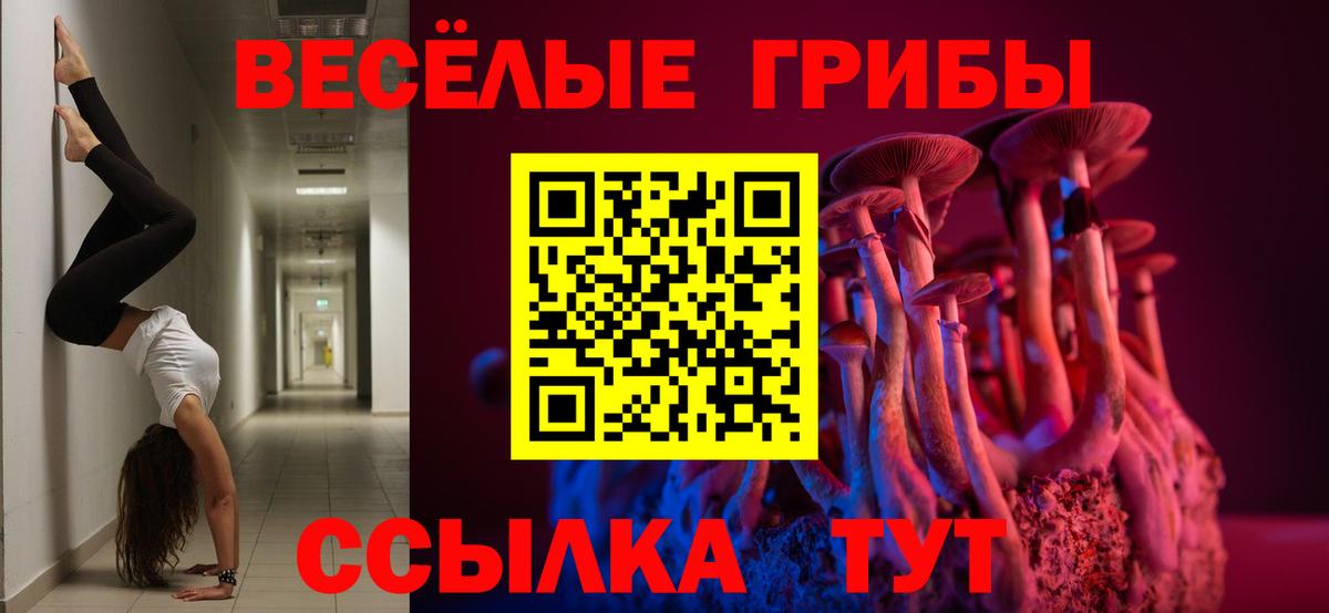 Галлюциногенные грибы Psilocybe Кинешма
